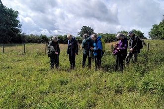 A group of people looking at a wildflower, being taught how to identify it