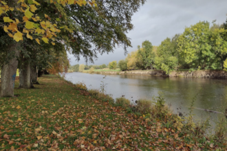 River Wye in Autumn