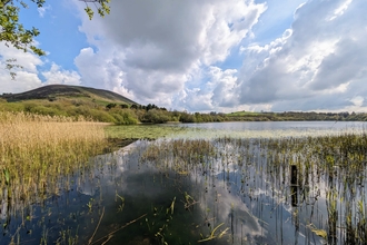 Llanbwchllyn Lake, Georgina Hale
