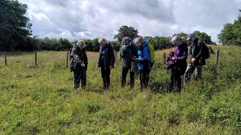 A group of people looking at a wildflower, being taught how to identify it