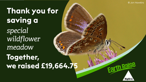 Earth Raise thank you