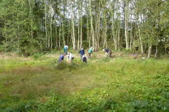 Abercamlo Bog Nature Reserve