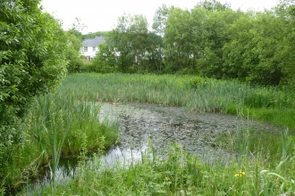 Gorse Farm Nature Reserve