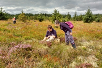 Where the Wild Things Are Bog Survey
