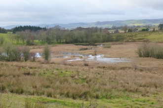 Pentrosfa Mire Nature Reserve