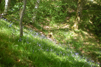 Rhayader Tunnel