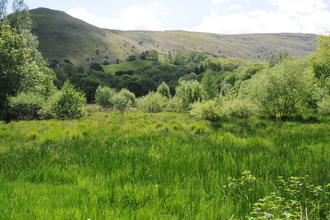 Rhos Pasture in summer
