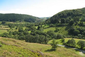 Gilfach Views