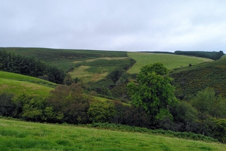 Pentwyn and Cnwch Bank 