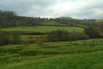 Rushy pasture and mid Wales landscape