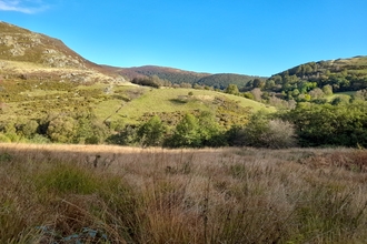 Rhos Pasture at Gilfach