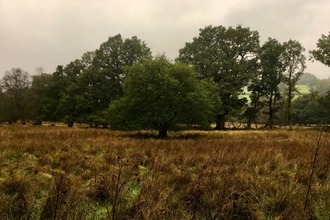 Rhos Pasture landscape 