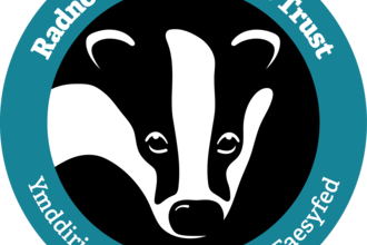 RWT Logo