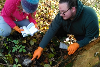 Trainees checking nestboxes