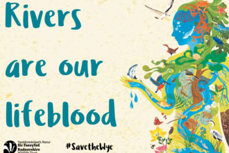Rivers are our lifeblood postcard