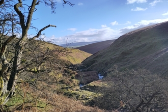 River Lugg (SSSI) 1km from the source, looking south. Early March 2024. 