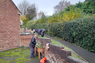 bulb planting
