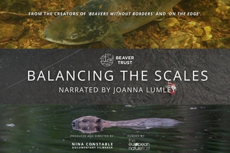 A poster with the words 'Balancing the Scales, narrated by Joanna Lumley' and a photograph of a beaver. 
