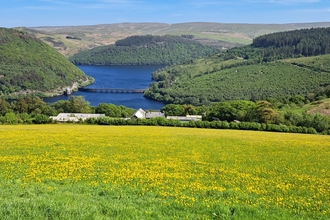 Farm meadow