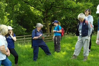 Volunteers completing botanical survey