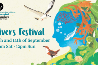 Rivers Festival