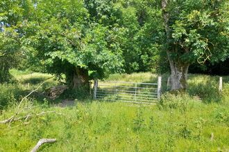 Pentwyn