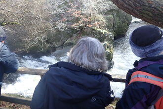 Salmon walk