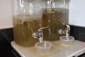kombucha