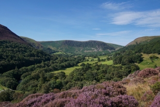 Gilfach Nature Reserve