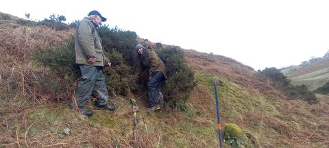 No-fence tree planting | Radnorshire Wildlife Trust