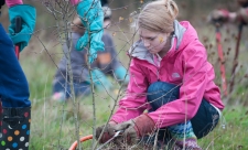 Young person clearing scrub