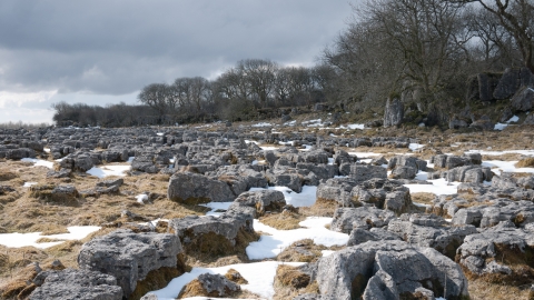 Limestone pavement