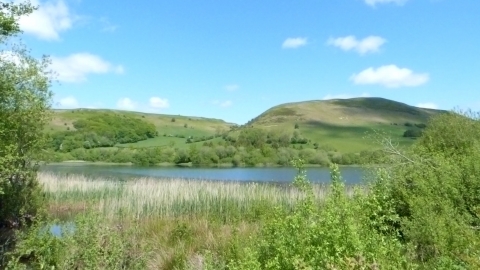 Llanbwchllyn Lake Nature Reserve