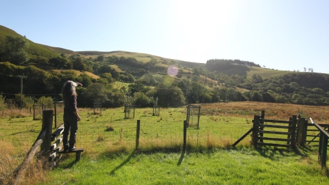 Tylcau Hill (Floss Brand) Nature Reserve