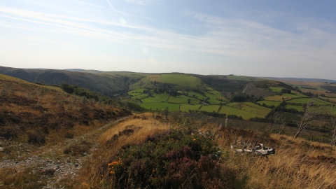 Cefn Cenarth View