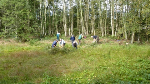 Abercamlo Bog Nature Reserve