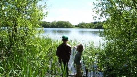 Llanbwchllyn Lake Nature Reserve