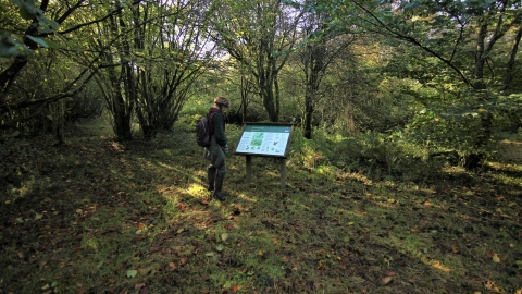 Sideland Nature Reserve