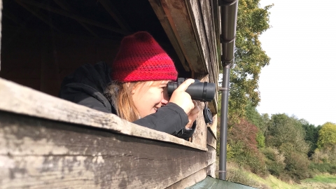 Pwllpatti Birdhide