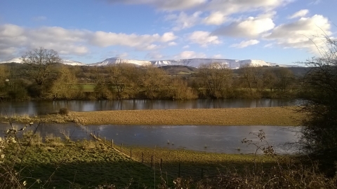Pwllpatti View