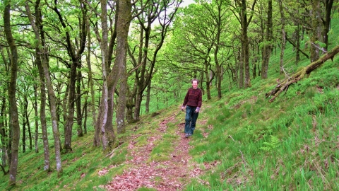 Walking in Cefn Cenarth