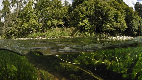 Water-level view across river