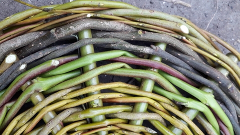 Basket making
