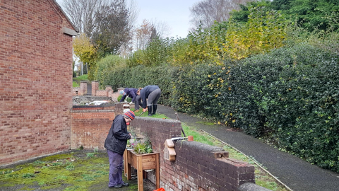 bulb planting