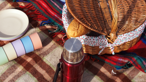 Picnic