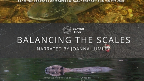 A poster with the words 'Balancing the Scales, narrated by Joanna Lumley' and a photograph of a beaver.