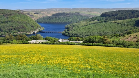 Farm meadow