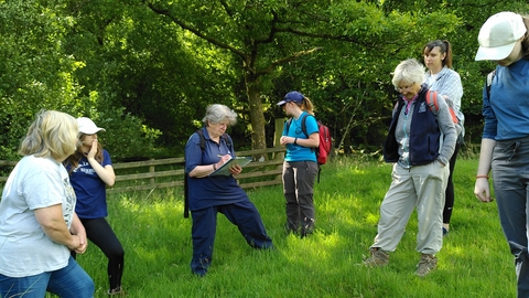 Volunteers completing botanical survey