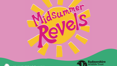 Midsummer Revels