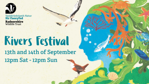 Rivers Festival